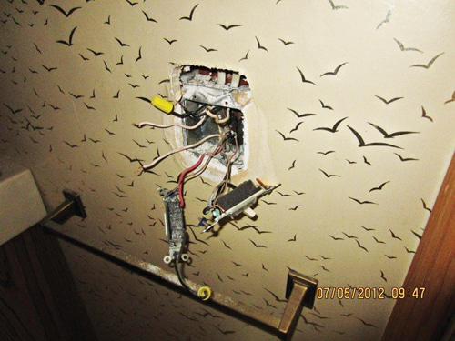 Postcard-birds.jpg