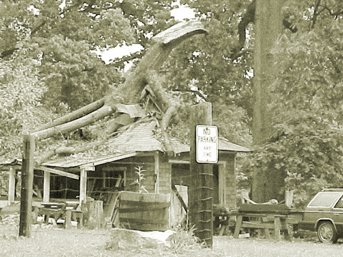 PostcardAug032.gif