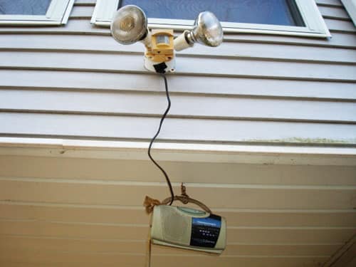 radio.jpg