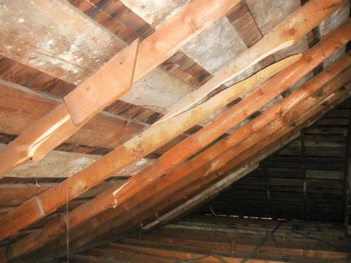 Rafter.jpg
