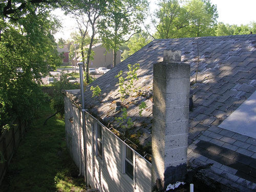 roof.jpg