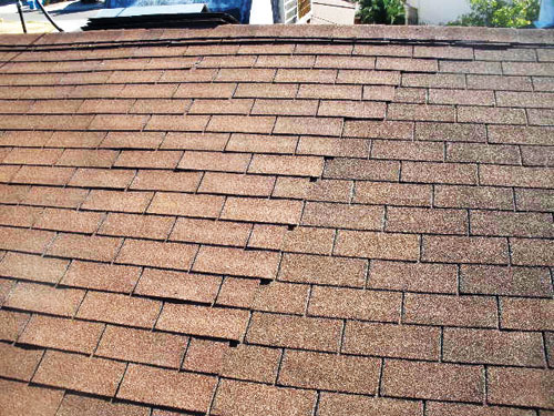 roof.jpg