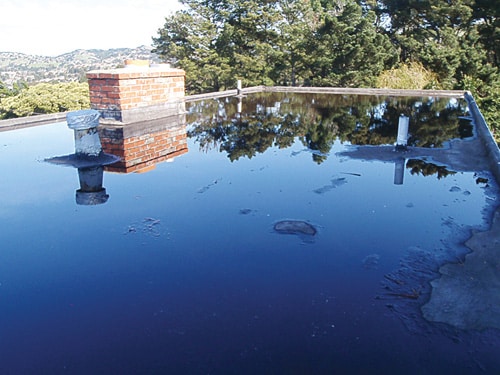 rooflake.jpg