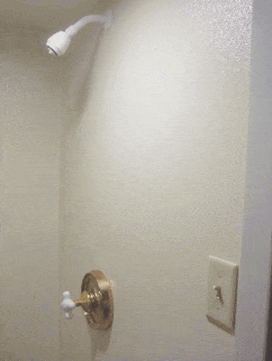 shower-switch.gif