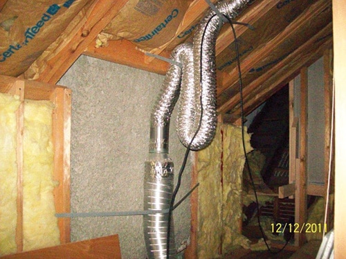 slither.jpg