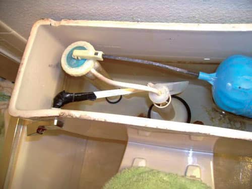 Spatula.jpg