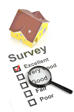 SurveySMALL_dreamstime_.gif