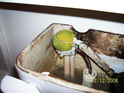 Tennis.jpg
