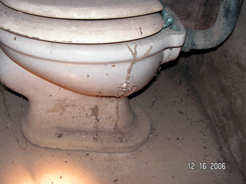 termites1.gif