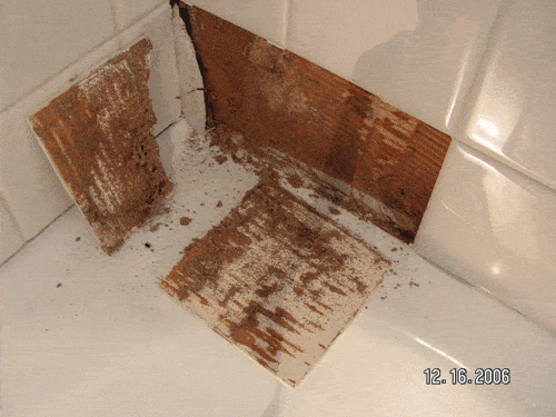 termites2.gif