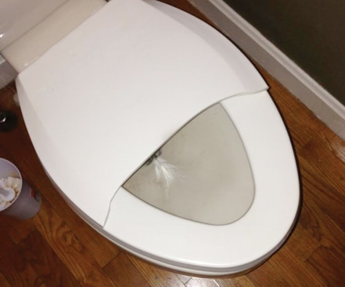 toilet.jpg