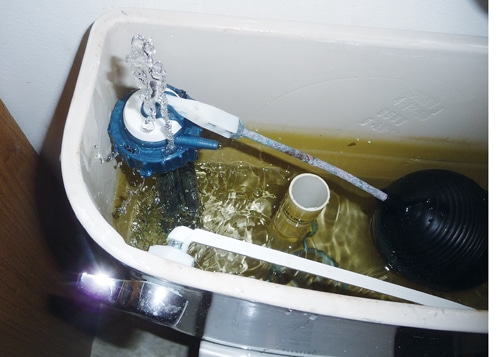 toilet.jpg