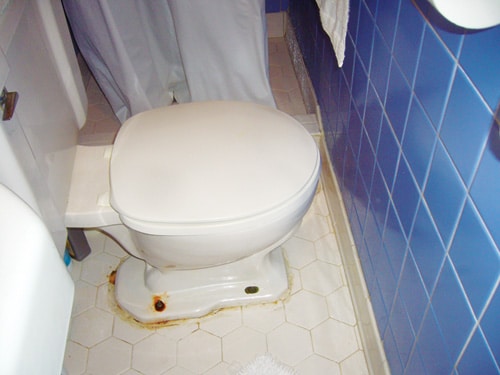 toilet.jpg