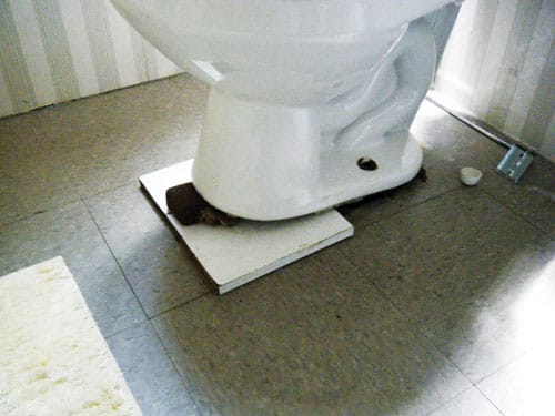 toilet.jpg