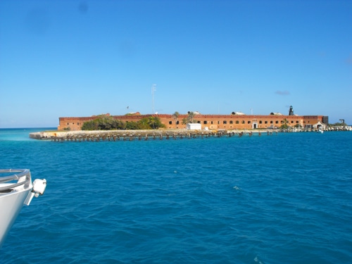 tortugas1.jpg