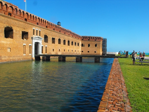 tortugas2.jpg
