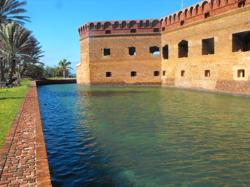 tortugas3.jpg