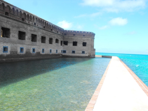 tortugas4.jpg