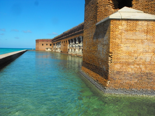 tortugas5.jpg