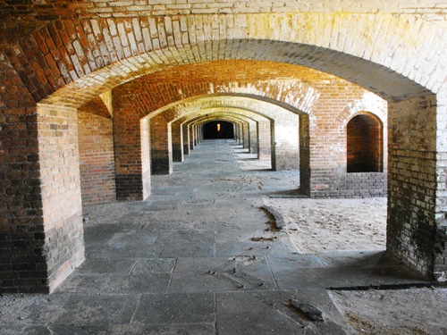 tortugas6.jpg