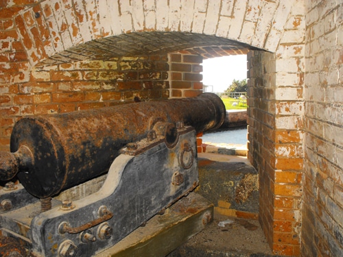 tortugas7.jpg