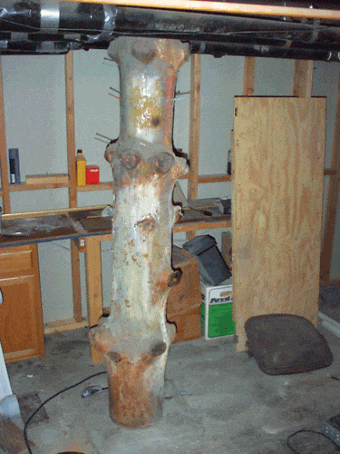 Tree-Structural-Support.gif