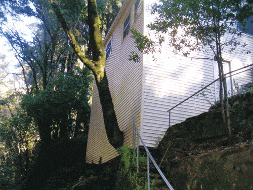 treehouse.gif