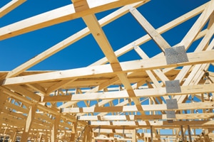 Truss_Fotolia_43229969_SMALL.jpg