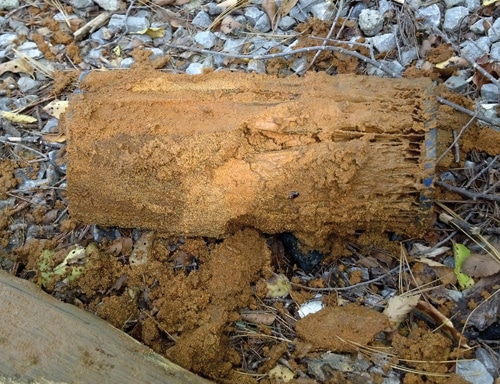 watercartridge.jpg