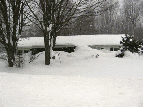 winter-002.gif